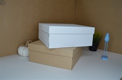 {{photo.Alt || photo.Description || 'Коробка самосборная 250-250-100 (мм)'}}